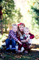 McCabe Family 2017