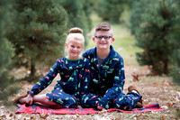 Lehn Family
