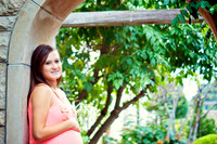 Afton Maternity Mini